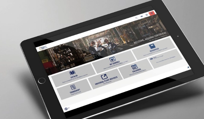 Online Training Program